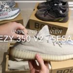 Adidas Yeezy Boost 350 V2 Sesame – Unboxing & Review