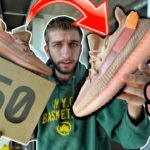 FIGHT at YEEZY RELEASE! ADIDAS YEEZY 350 CLAY V2 RELEASE DAY REVIEW!