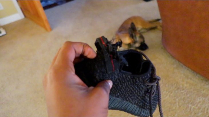 He Destroyed My Yeezy Pirates!