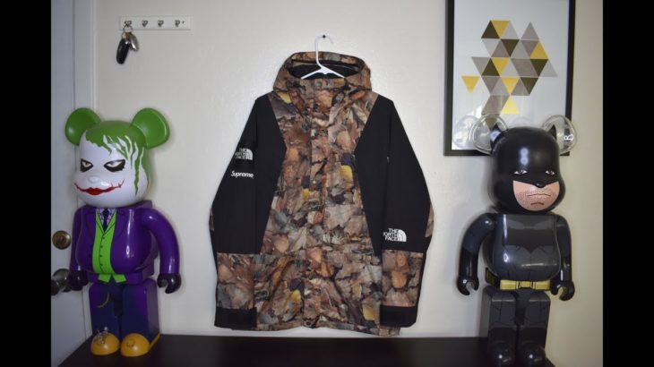 PERFECT JACKET FOR FALL!!?!? (THE NORTH FACE X SUPREME ‘LEAVES’ MOUNTAIN LIGHT)