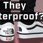 Vans + The North Face Old Skool REVIEW