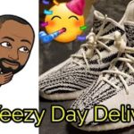 Yeezy Day Delivery- Zebra 350 Restock