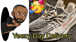 Yeezy Day Delivery- Zebra 350 Restock
