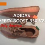 이지부스트 350V2 클레이 북미 한정판 –  adidas Yeezy Boost 350 v2 only America“Clay” – イージー ブースト 350 V2 クレイ EG7490