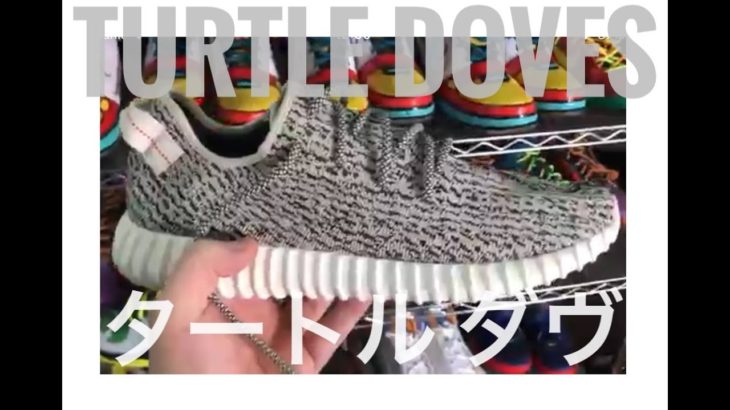 BUTTER MOVEMENT LOST FOOTAGE YEEZY 350 TURTLE DOVES ・失われた映像 アディダス イージー 350 タートル ダヴ [スニーカー sneakers]