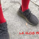 Big Sneakerhead Mistake, Wore my Black Yeezy 350 V2 Up Runyon Canyon, LA Vlog Pt. 2