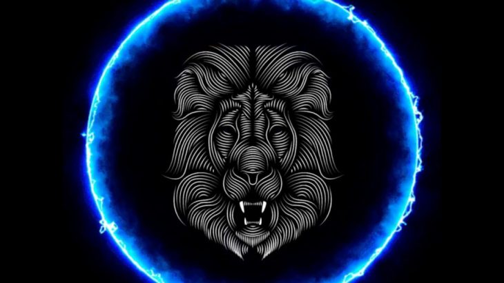 Yeezy x Lion