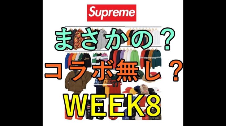 【supreme】2019FW WEEK8 失望！え？嘘でしょ？まさかのコラボ無し？
