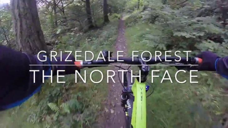 Grizedale Forest MTB