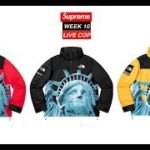 SUPREME FW19 WEEK 10 LIVE COP (The North Face Collab)