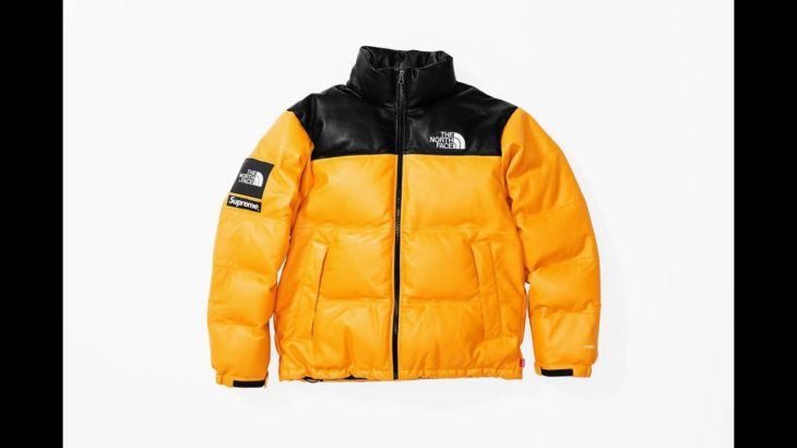 SUPREME X THE NORTH FACE FW 17 DROP- WEEK 9