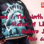 Supreme / The North Face Statue of Liberty Baltoro Jacket 19fw week10 シュプリーム ノースフェイス バルトロ ジャケット