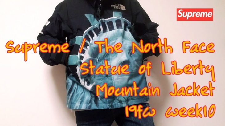 Supreme / The North Face Statue of Liberty Mountain Jacket 19fw week10 シュプリーム ノースフェイス マウンテン ジャケット