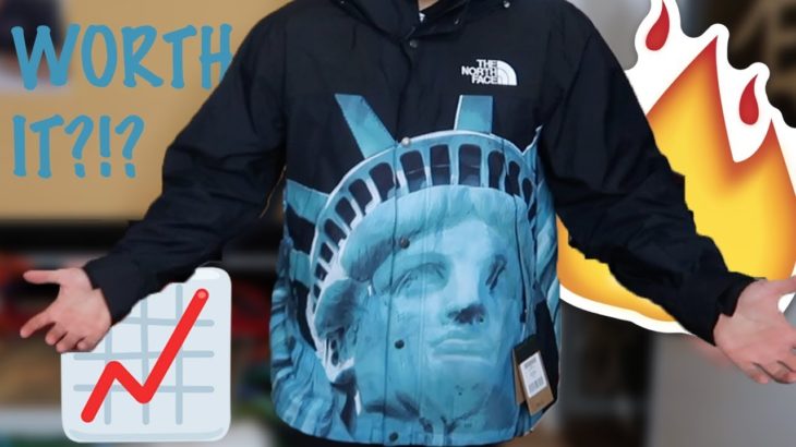 Supreme The North Face Statue of Liberty Mountain Jacket REVIEW/TRY ON