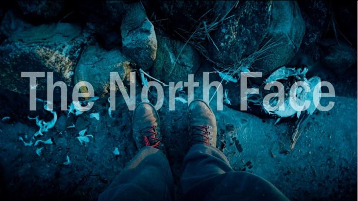 The North Face Ballard II