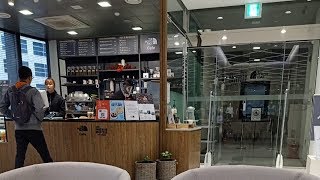 The North face cafe | Meyondong korea