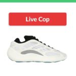 LIVE COP 🚨| adidas Yeezy 700 V3 ‘Azael’