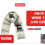 SUPREME FW19 WEEK 18 LIVE COP! – THE NORTH FACE WEEK!