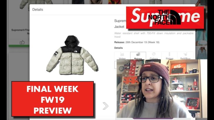 SUPREME FW19 WEEK 18 PREVIEW – THE NORTH FACE COLLABORATION