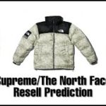 Supreme/The North Face Resell Prediction l SupremeGermany