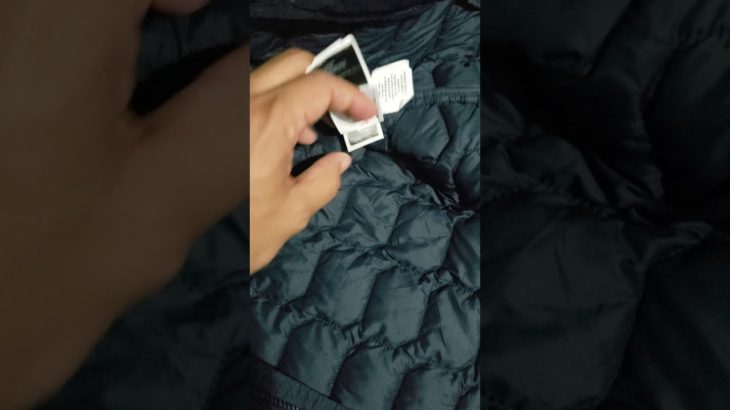 The North Face Thermoball hoodie jacket
