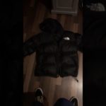 The north face 1996 Nuptse quick review