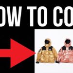 How to Cop Supreme X THE NORTH FACE ONLINE MANUALLY S/S 18′ – NO CARD DECLINE