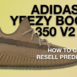 ADIDAS YEEZY BOOST 350 V2 EARTH HOW TO COP & RESELL PREDICTIONS // HOLD OR SELL ?!