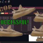 LIVE COP: Yeezy Boost 350 V2 EARTH + Review!
