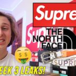 SUPREME X THE NORTH FACE DROPPING FOR SS20 WEEK 3?! (Supreme Leaks)