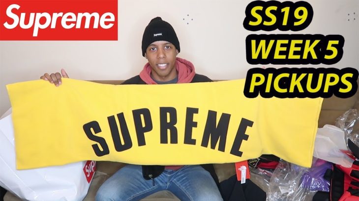SUPREME X THE NORTH FACE SS19 WEEK 5 PICKUPS(IN HAND)