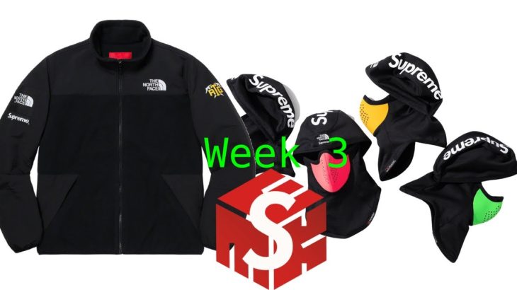Supreme SS20 Week 3 Live Cop The North Face RTG Fleece Jacket
