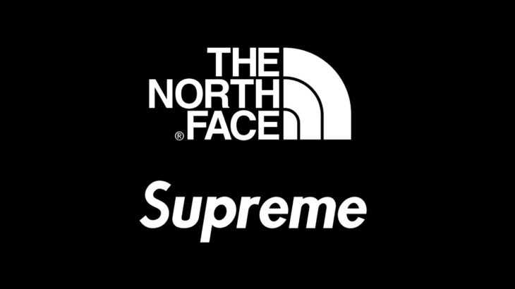 Supreme X The north face . Uno sguardo ai pezzi. *curioso*