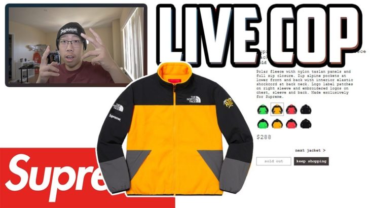THE NORTH FACE LIVE COP! (Supreme SS20 Week 3 Online Manual Checkout)