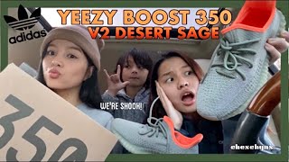 YEEZY BOOST 350 V2 DESERT SAGE ADIDAS UNBOXING & REVIEW + ON FEET | cheschyns