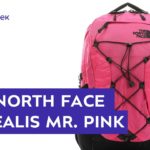 Рюкзак The North Face Borealis Mr. Pink Ripstop за 60 секунд