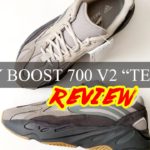 Adidas YEEZY Boost 700 V2 “TEPHRA” Review | BRICK or FLIP? Hold or SELL? RESELL PREDICTIONS!