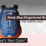 THE NORTH FACE Unisex’s Borealis Classic Backpack – Color Video Catalog