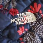The North face w