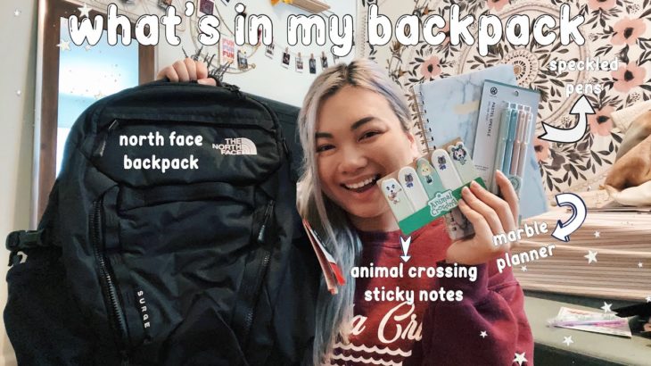 WHAT’S IN MY NORTH FACE BACKPACK/SCHOOL SUPPLIES HAUL 2020 + animal crossing surprise! | Christine N
