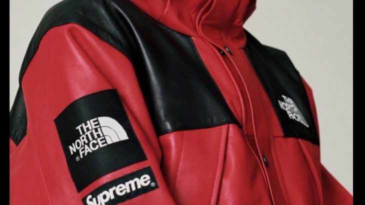The North Face x Supreme Leather Mountain Parka Aliexpress