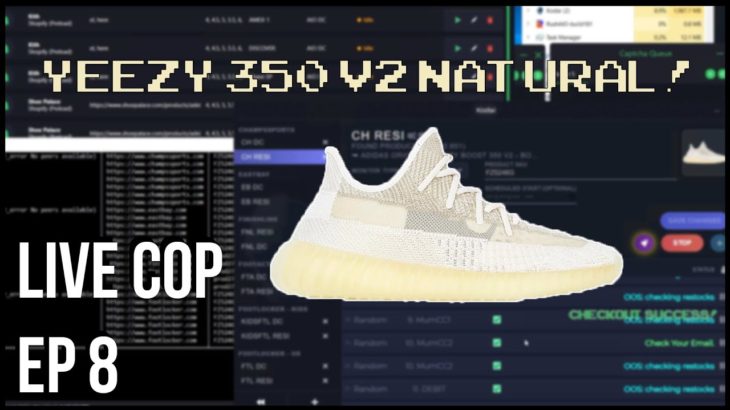 Botting with a MANUAL USER?! | YEEZY Boost 350 v2 Natural Live Cop Ep 8