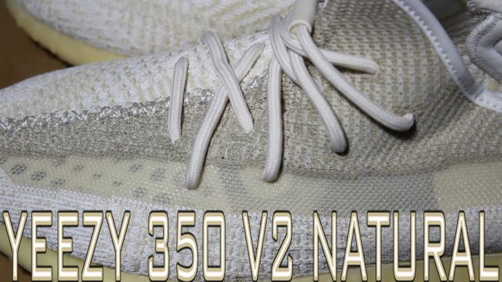 Yeezy 350 V2 Natural Review + In Depth Look !