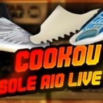 Yeezy Slide, QNTM, and 700 V3 Arzarath Live Cop Using Sole AIO | BTE Episode 10 Deluxe Edition