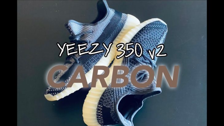 Adidas Yeezy Boost 350 V2 CARBON On Feet