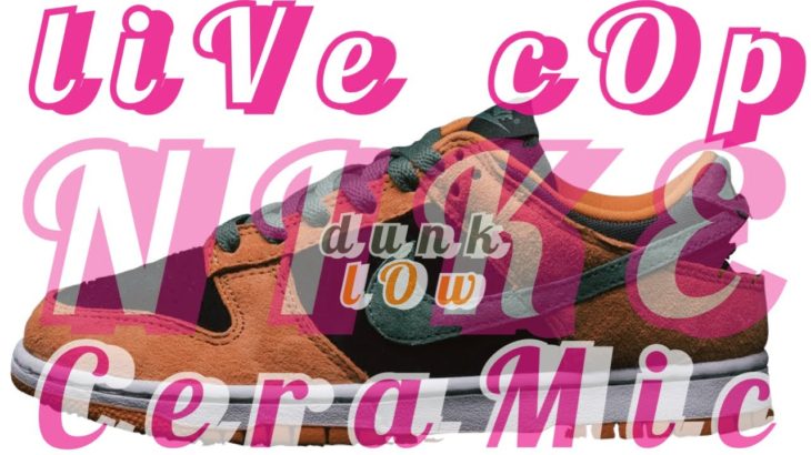 LIVE COP Nike Dunk Low CERAMIC & YEEZY ??shockdrop