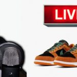 LIVE COP : Nike Dunk Low Ceramic | Yeezy 700 V3 Safflower