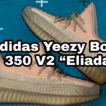 adidas Yeezy Boost 350 V2 “Eliada”