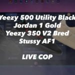 25 Bricks | Yeezy 500 | Yeezy Bred | Stussy AF1| Live Cop #14