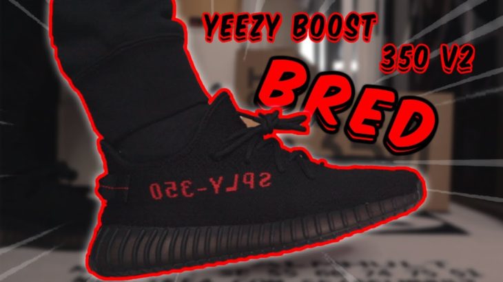 ADIDAS YEEZY BOOST 350 V2 BRED REVIEW/ON-FEET!!!